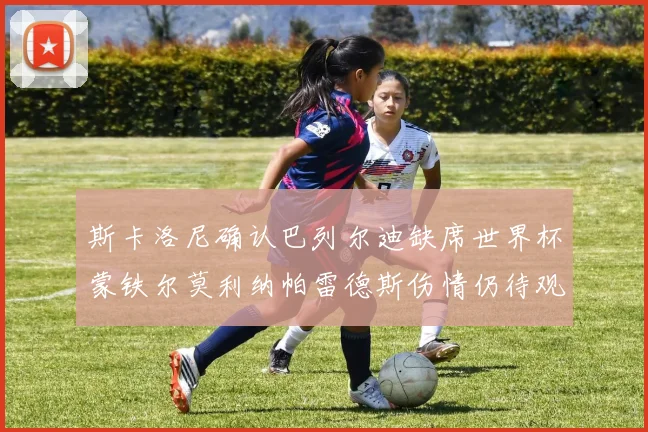 斯卡洛尼确认巴列尔迪缺席世界杯蒙铁尔莫利纳帕雷德斯伤情仍待观察